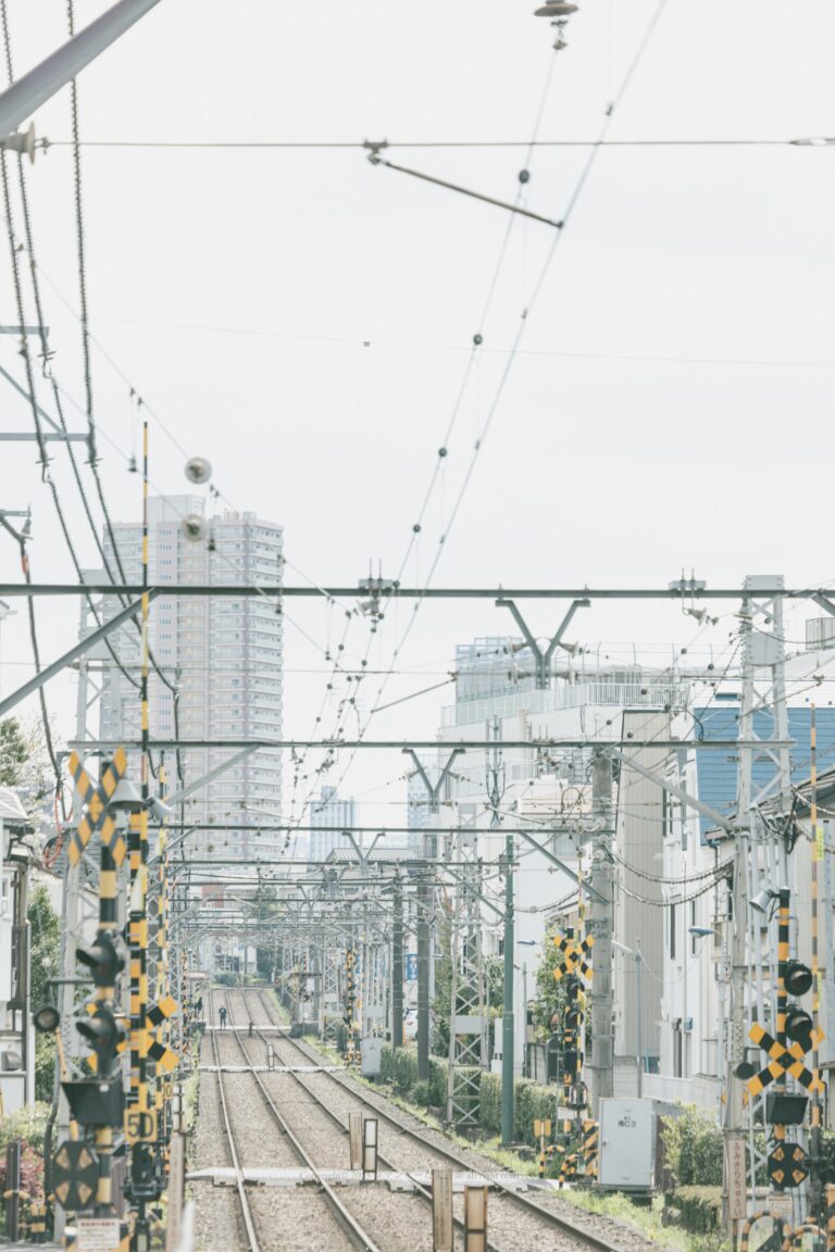 貴重な踏切