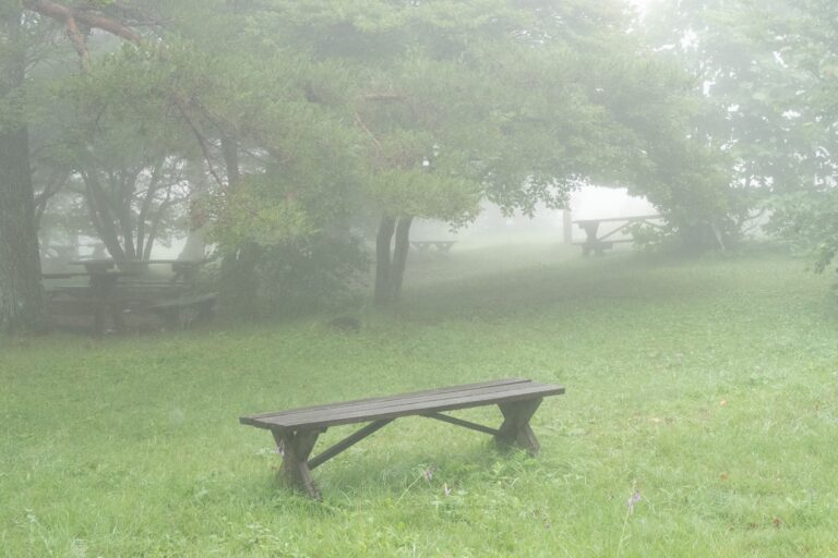 雨上がりのベンチ