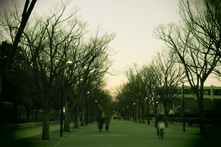 秋ファッション