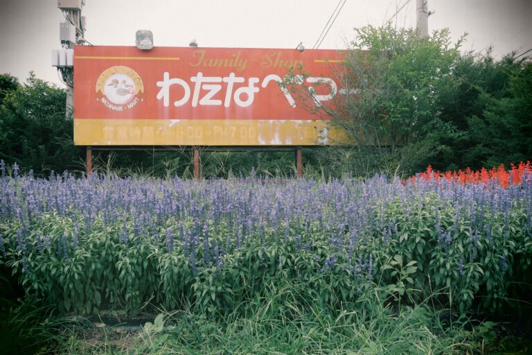 きゅんフォント