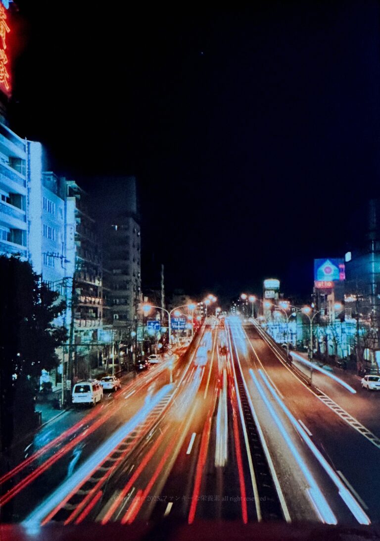 あの日の残像